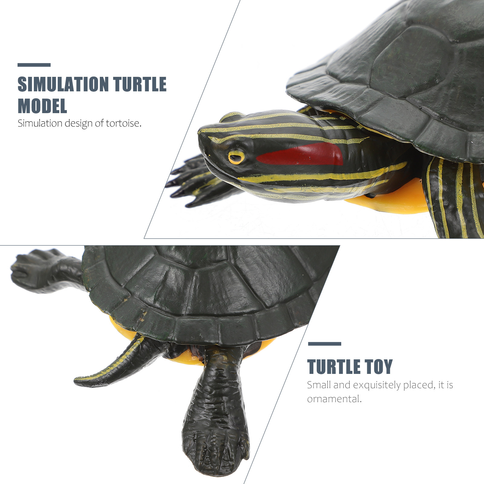 Educational Turtle Sculpture P - Kids Home Education review and price
