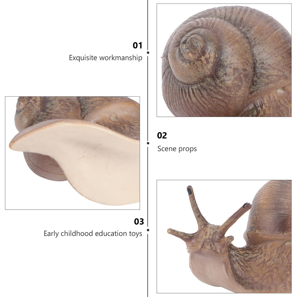 2Pcs Realistic Snail Decoratio - Kids Home Education review and price