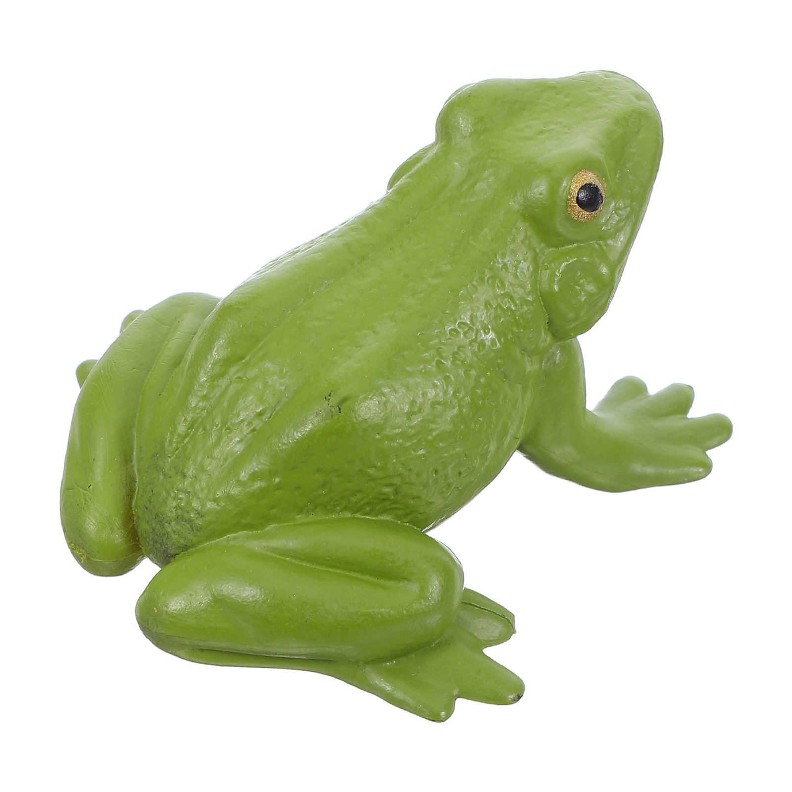 Realistic Tree Frog PVC Small  - Kids Home Education review and price